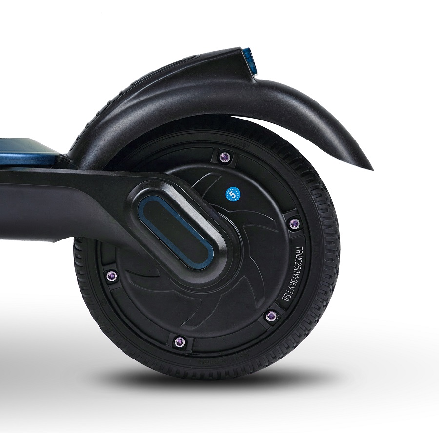 Tribe Bro Blue without Rich - 5