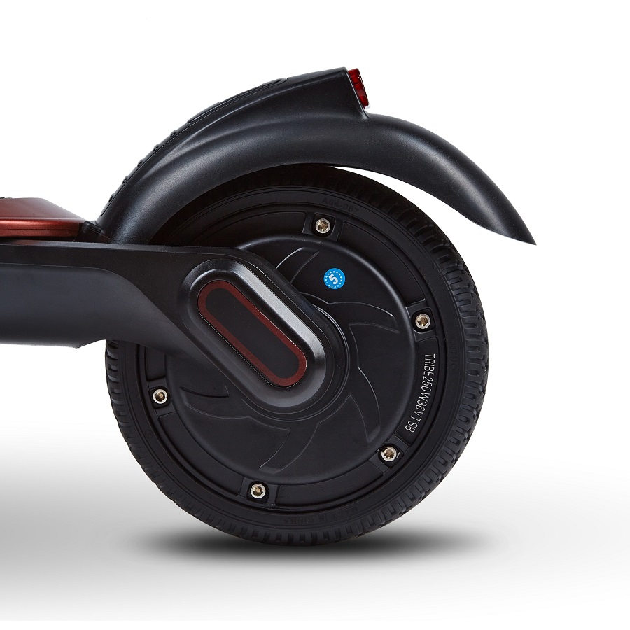 Tribe Bro Orange without Rich - 5